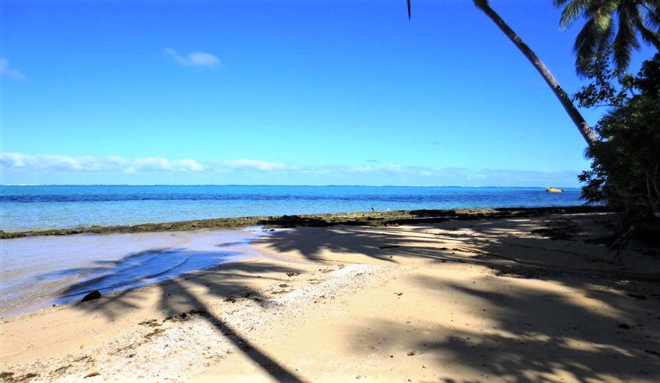 Beachfront Vacant Land For Sale Coral Coast, Sigatoka Tourism Site
